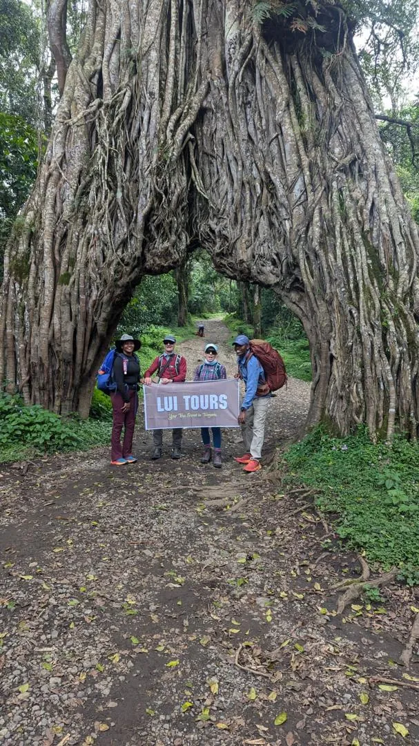 Mount Kilimanjaro trekking landscape